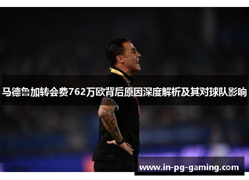 马德鲁加转会费762万欧背后原因深度解析及其对球队影响
